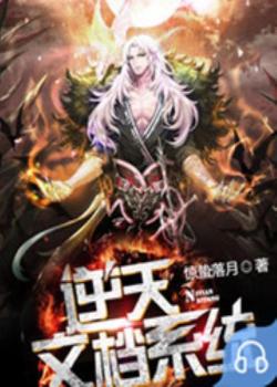 逆天文档系统封面