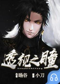 透视之瞳封面