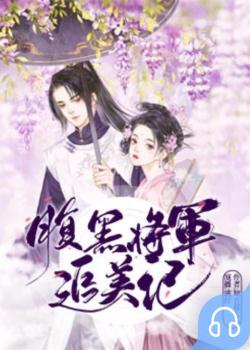 腹黑将军追美记封面