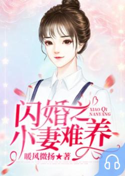 闪婚之小妻难养封面